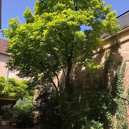 L'atypique Appartement Dijon
